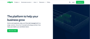 Stripe Competitors, Adyen